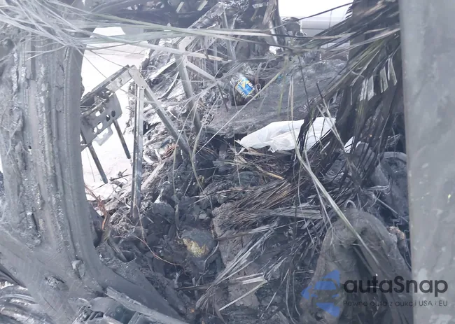 WBY1Z4C52FV504620: 42496420