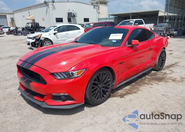 1FA6P8CF8F5413189: 42496521