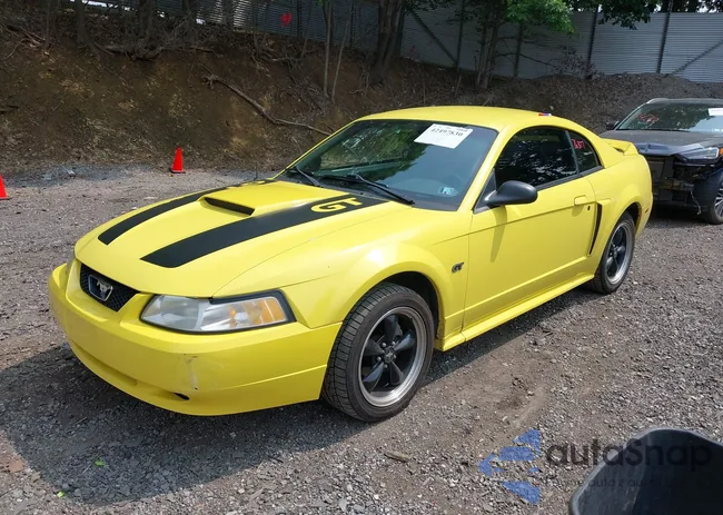 1FAFP42XXYF262050: 42497830