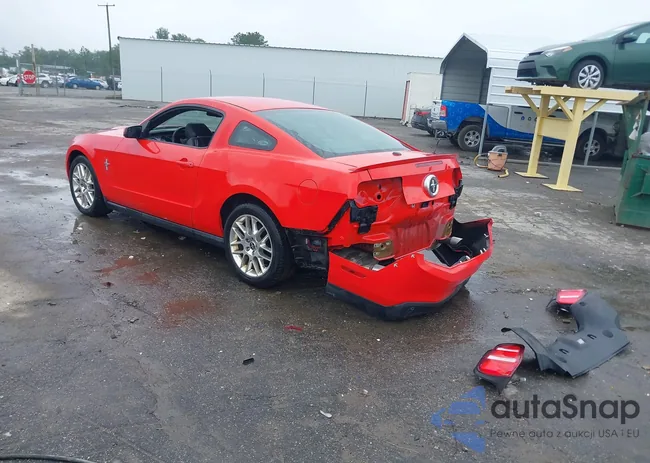 1ZVBP8AM7C5252191: 42498076