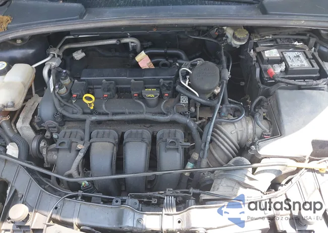 1FADP3F26DL215917: 42497341