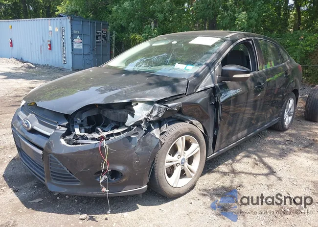 1FADP3F26DL215917: 42497341