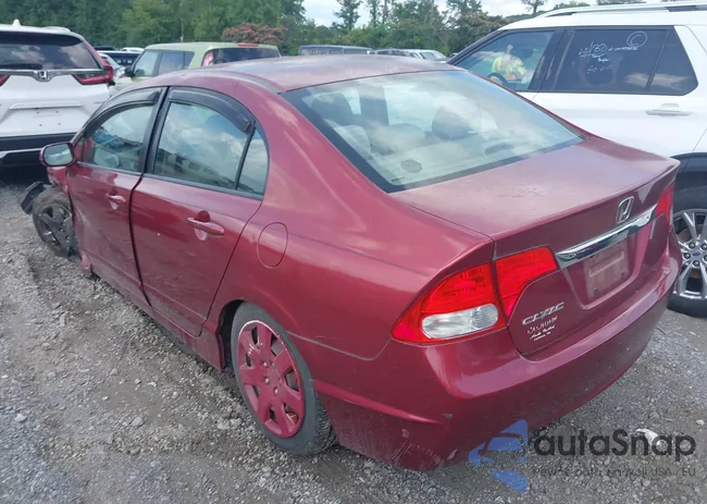 2HGFA1F59BH542861: 42497497