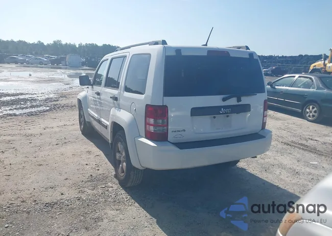 1J8GN28K79W524895: 42499042