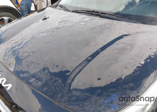 KNDCC3LC3N5515712: 42500137