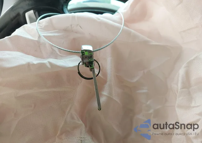 1G1JF5SB5H4118976: 42499383