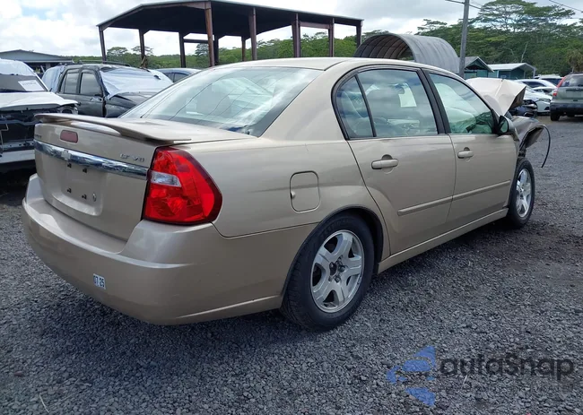 1G1ZU54824F134805: 42501044