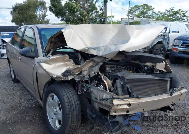 1G1ZU54824F134805: 42501044