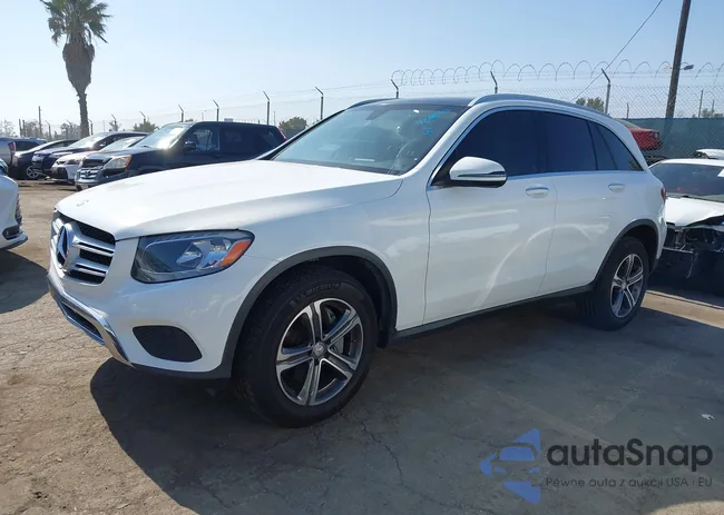 WDC0G4JB0GF074894: 42500383