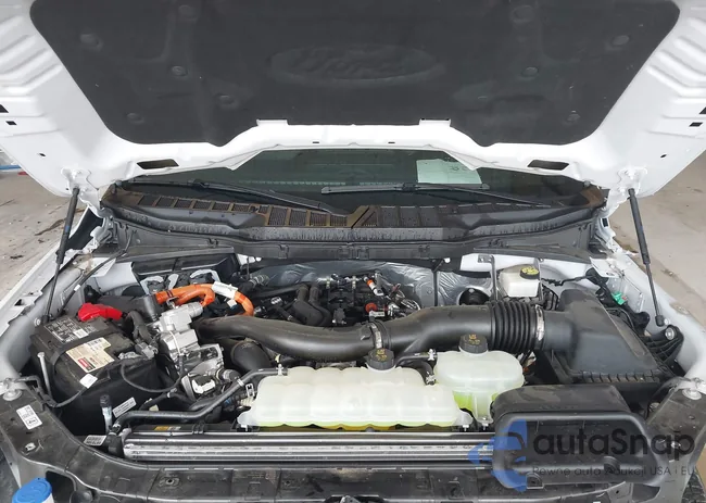 19XFB5F53CE003667: 42500540