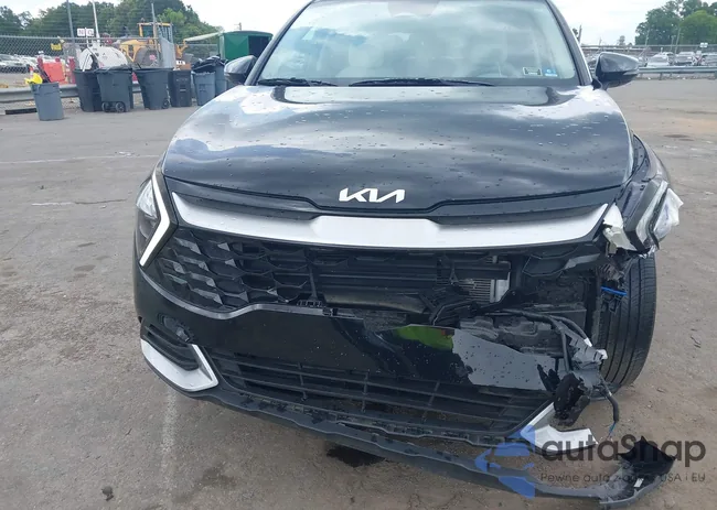 5XYK33AF8PG128561: 42501673