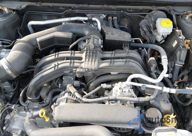 4S4BTAPC6P3175170: 42501753