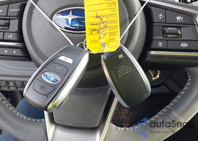 4S4BTAPC6P3175170: 42501753