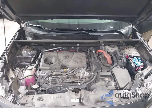 JTMMWRFV8KD036053: 42502103