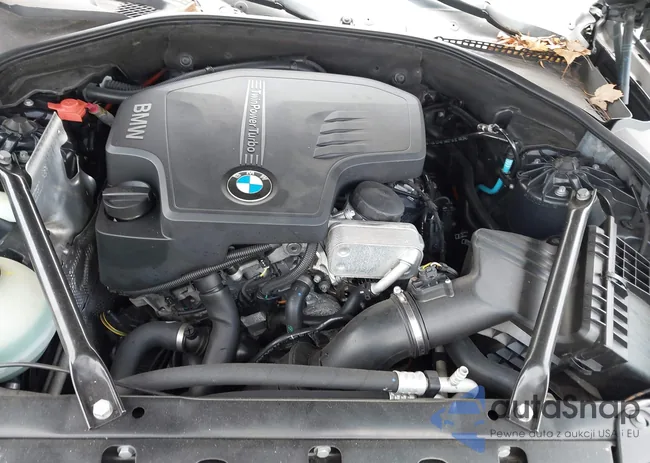 WBA5A5C53GG347960: 42502812