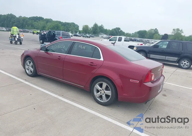 1G1ZD5EB6AF207552: 42503024