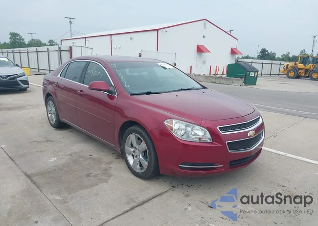 1G1ZD5EB6AF207552: 42503024