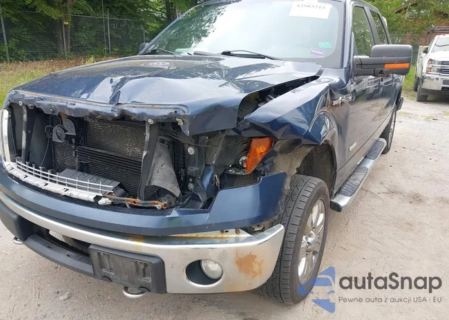 1FTFW1ET0DFB16965: 42503215