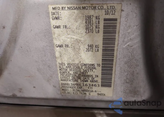 1N4BL3AP9DC163463: 42502243