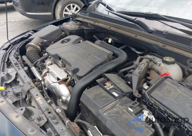 1G1ZD5ST8MF069434: 42502417