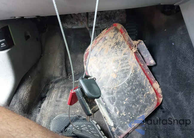 1ZVFT80N075307819: 42504071