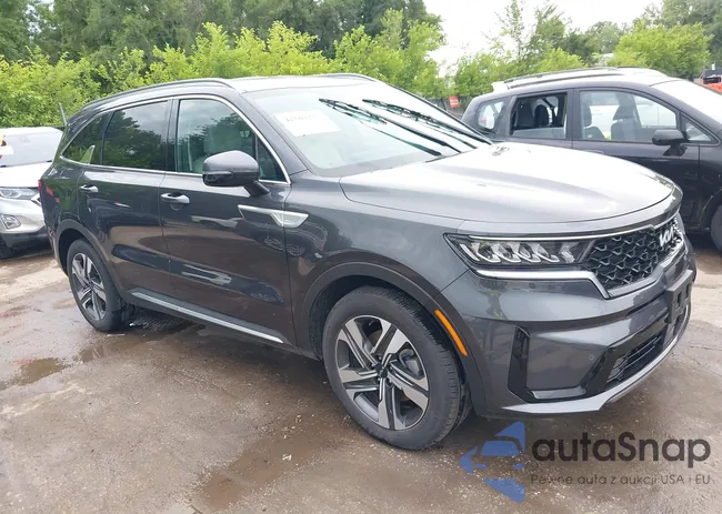 KNDRHDLGXP5184084: 42503235