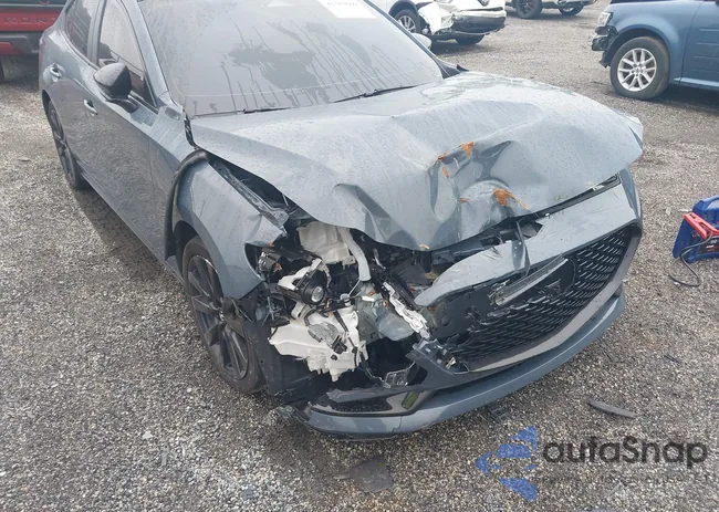 3MZBPBCM8RM408395: 42503609