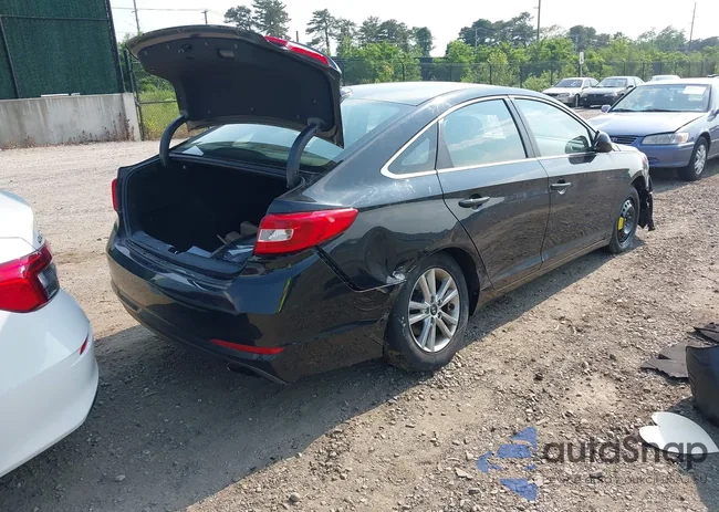 5NPE24AF1HH584949: 42505077