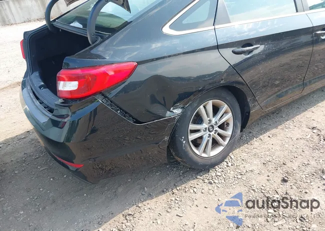 5NPE24AF1HH584949: 42505077