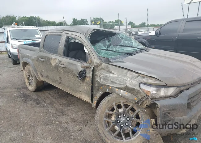 1GCPTEEK3P1168555: 42504294