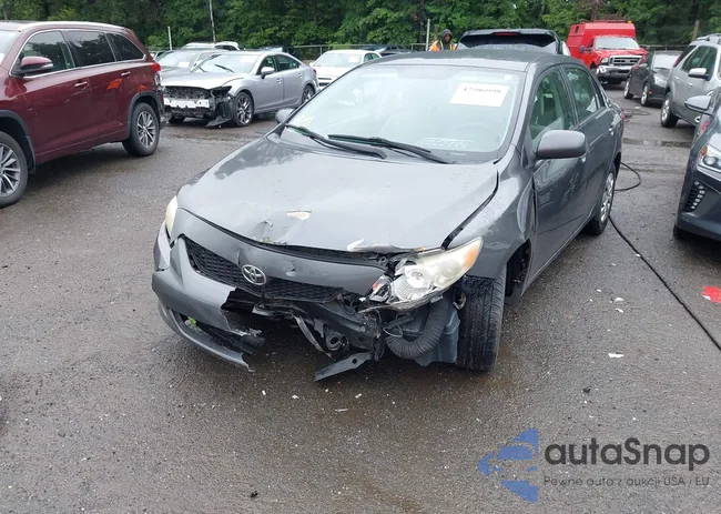 2T1BU4EE4AC296690: 42506998