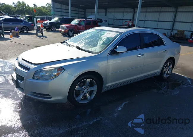 1G1ZD5E06CF350826: 42506450