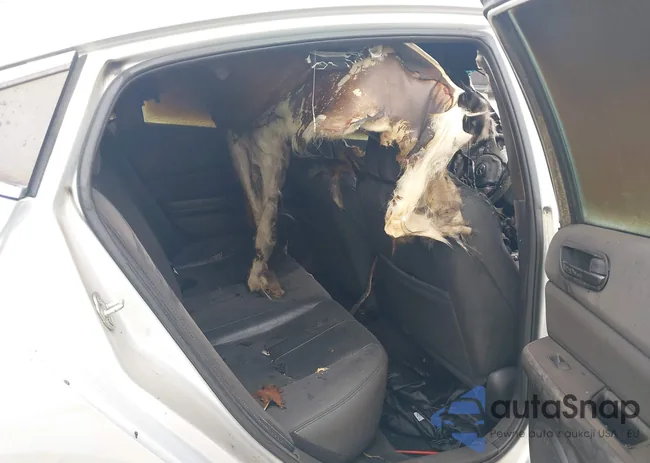 1YVHZ8CH0A5M50805: 41510287