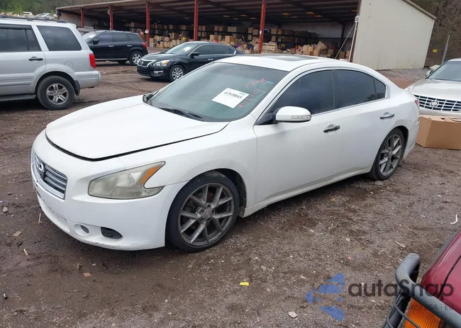 1N4AA5AP3BC843501: 41518845