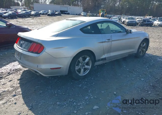 1FA6P8AM5H5256029: 41519051