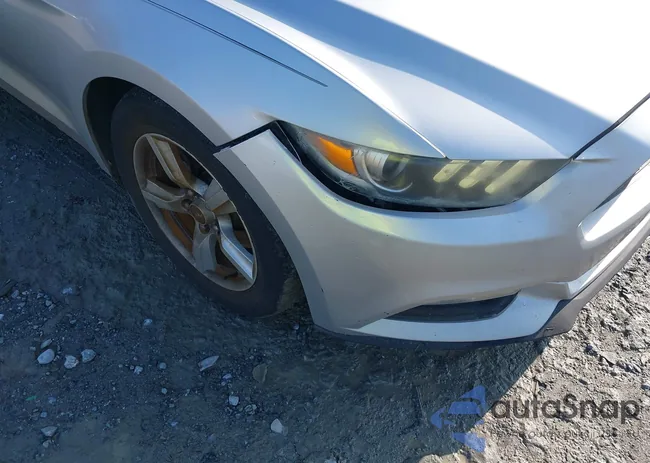 1FA6P8AM5H5256029: 41519051