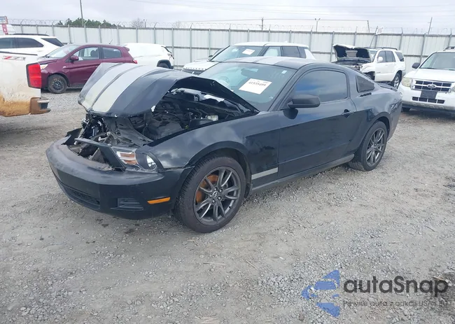 1ZVBP8AMXC5200490: 41535499