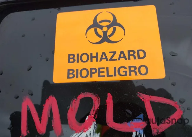 3C4PDCAB7KT868541: 41549768