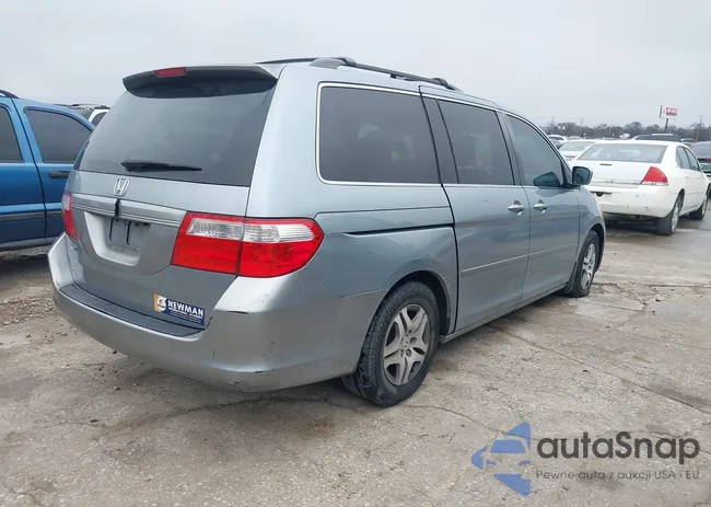 5FNRL38737B018344: 41551083