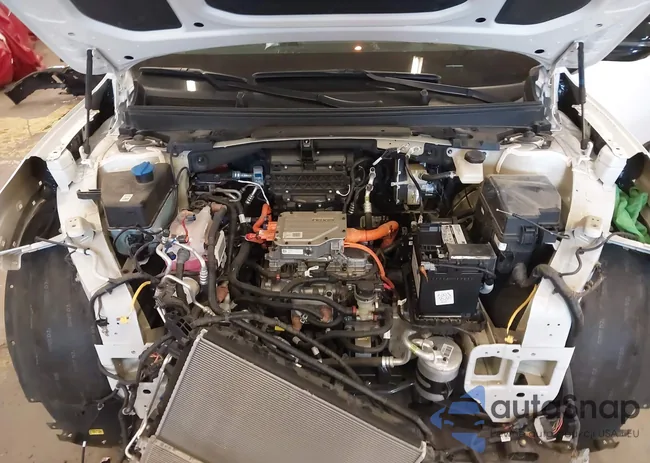 KNDAEFS54R6021641: 41550434