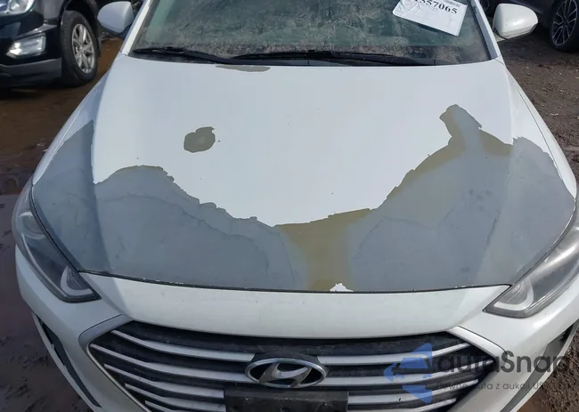 5NPD84LF7HH040026: 41557065