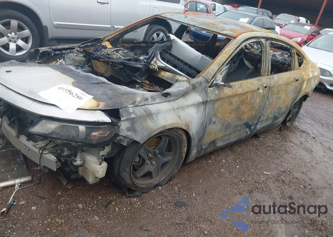 1G11Y5SL4EU100015: 41556286