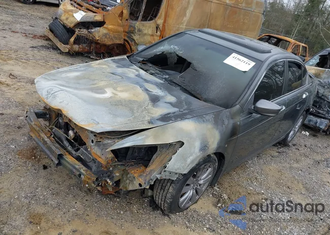 1HGCP3F86BA012000: 41562119