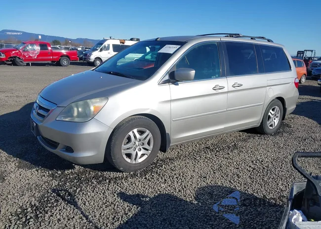 5FNRL38495B015029: 41563205