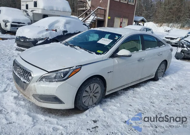 KMHE24L19HA058086: 41562615