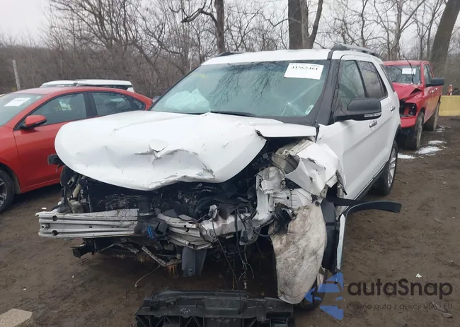 1FM5K8D86DGC64119: 41565461