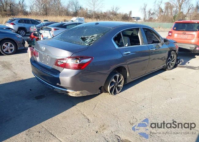 1HGCR2F85GA033402: 41566785