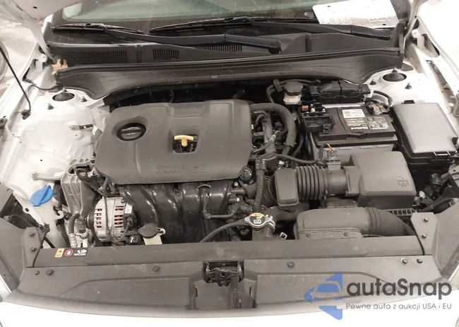 3KPF24AD3LE243519: 41589603