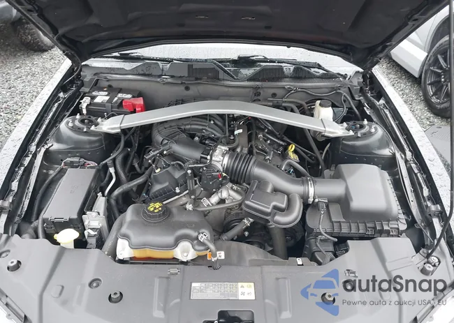 1ZVBP8EM8D5217008: 41591194