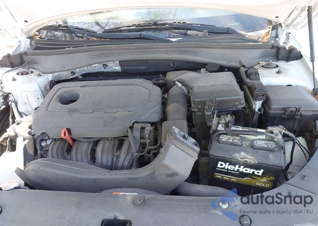 5XXGU4L39GG011524: 41590604